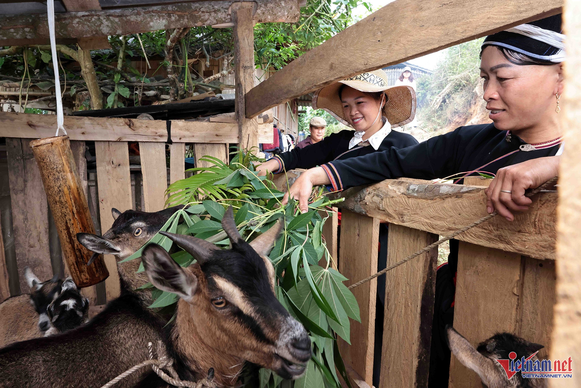 W-A9 SÌN ĐỨC MÀN DT DAO_8199.jpg