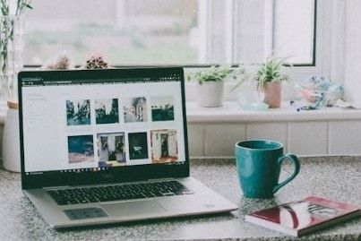 Hai cô gái mặc bikini, ôm laptop làm việc trên bãi biển gây tranh cãi