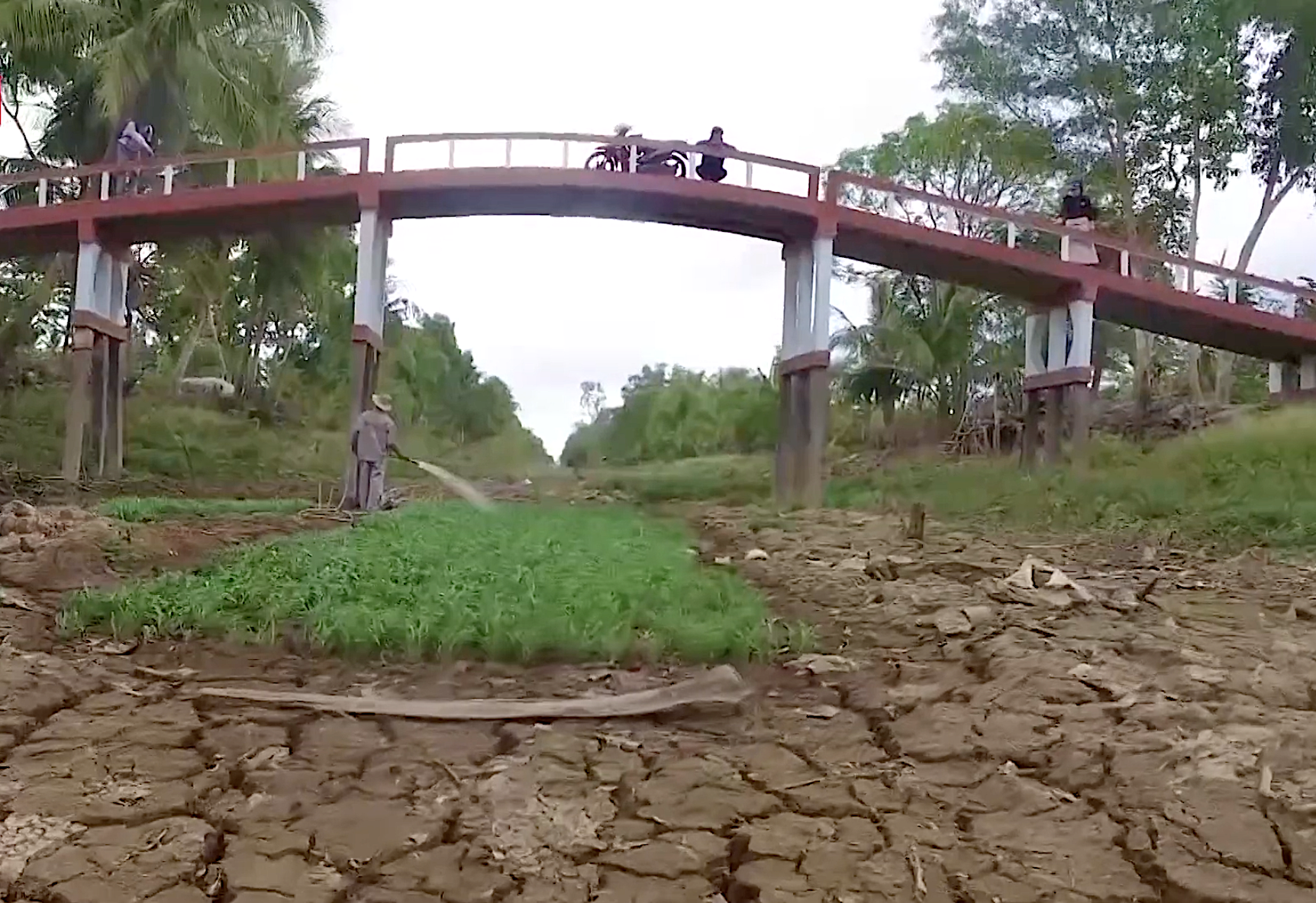 Bàn về an ninh lương thực ở khu vực Tiểu vùng Mekong