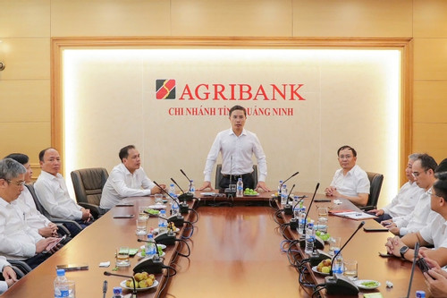 Agribank cấp bách hỗ trợ người dân, doanh nghiệp Quảng Ninh tái thiết sau bão