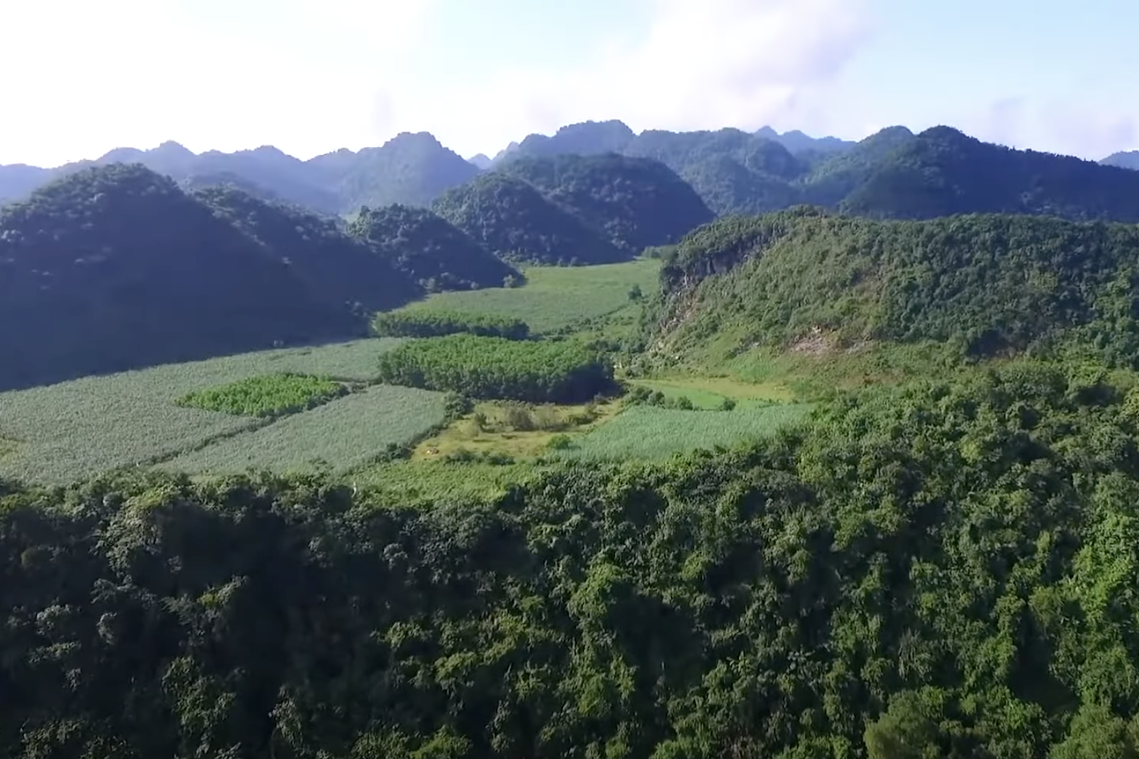 Các thông tin tài nguyên rừng được cập nhật định kỳ vào phần mềm SMART