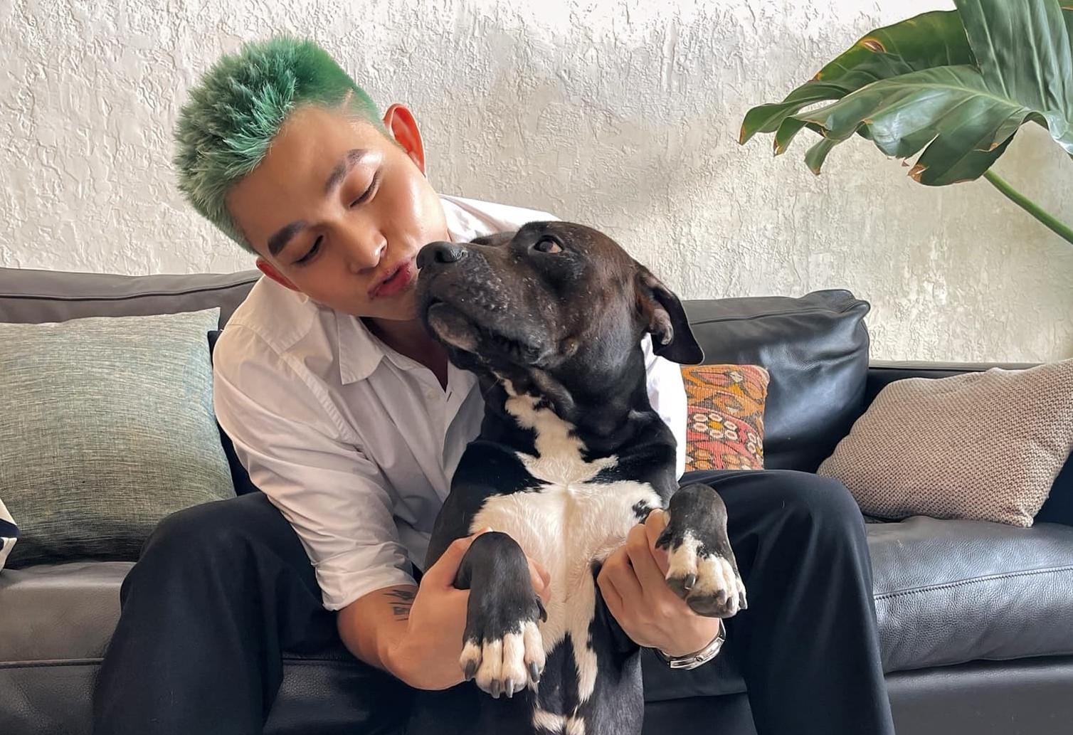 464104634 2901583623343778 2272071381073792269 n 21790.jpg