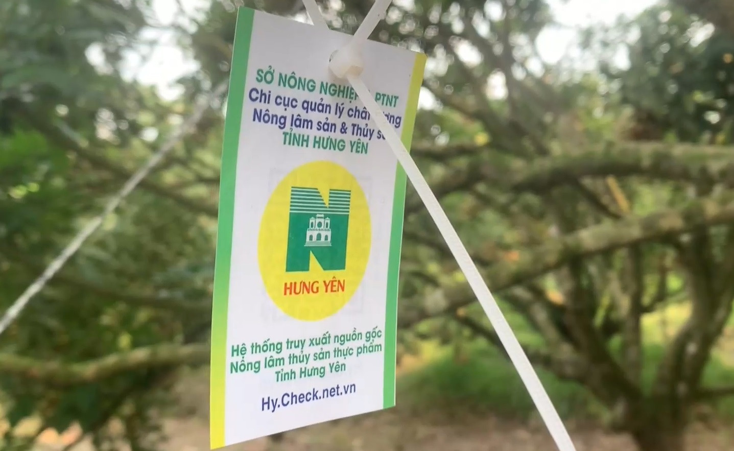 chuyển đổi số NN Hưng Yên.jpg