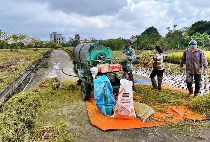 Nâng cao hiệu quả công tác giảm nghèo bền vững tại Nam Định
