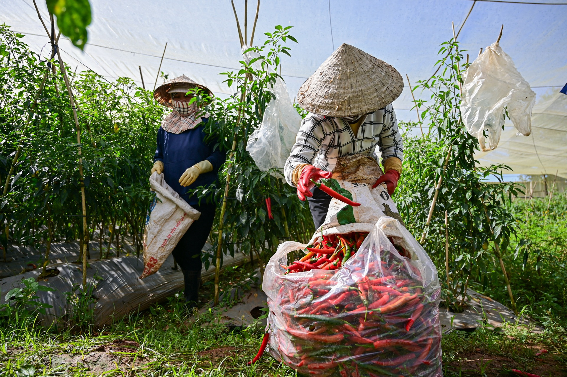 Tây Giang huy động tổng lực chung tay giúp người nghèo có thêm sinh kế