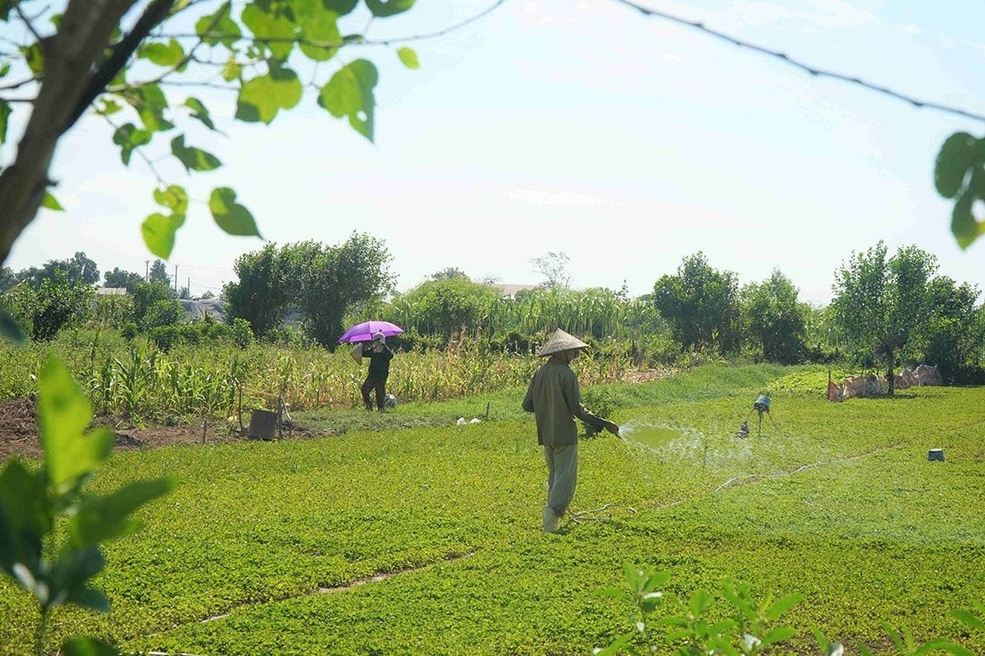 Bộ Tài chính phản hồi đề xuất giảm thuế GTGT với vật tư nông nghiệp, điện nước