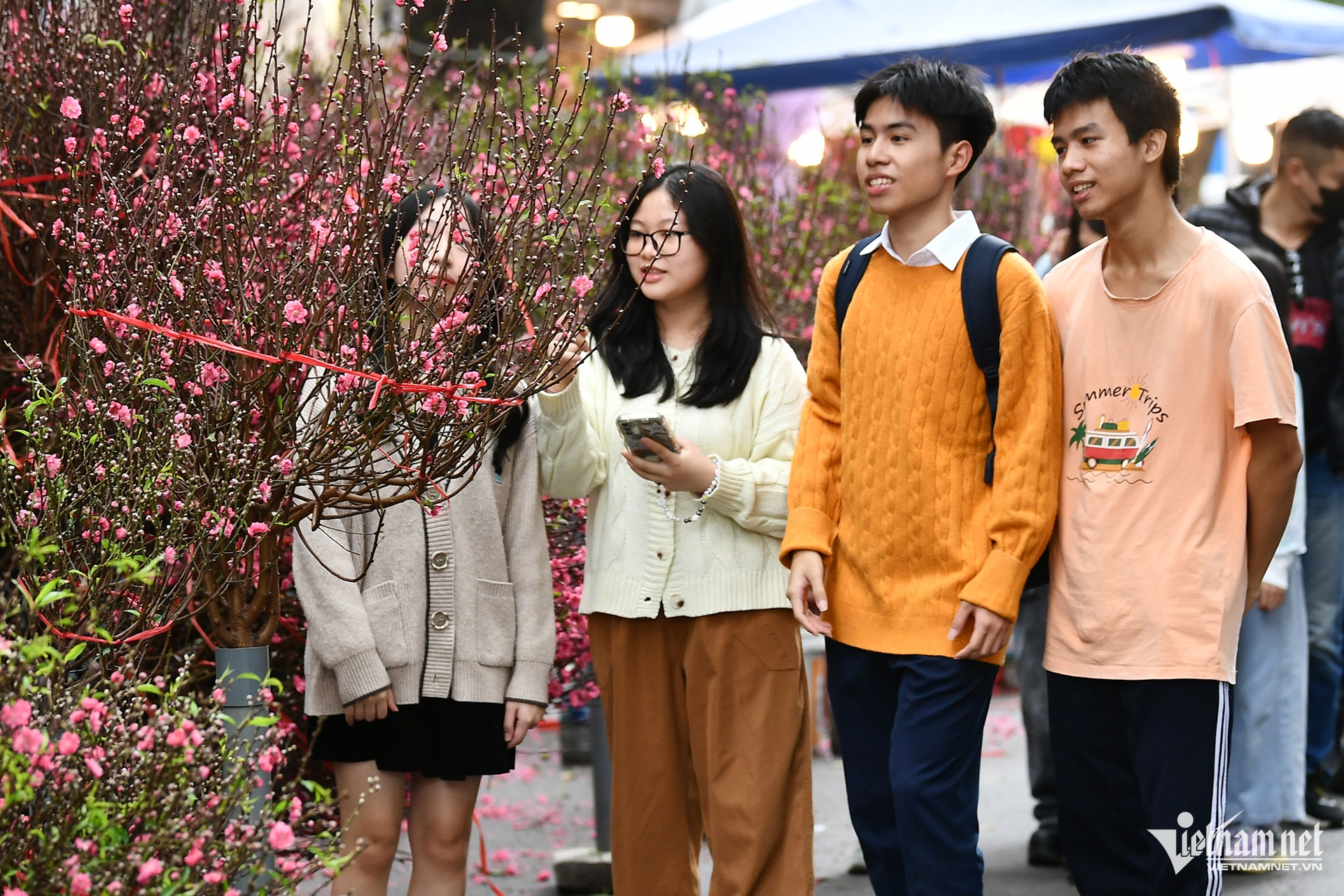 W-Tết nguyên đán.jpg