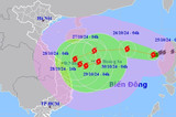 Bản tin sáng 25/10: Bão Trà Mi gây sóng cao 9m, Hà Nội ngày đêm chênh 14 độ