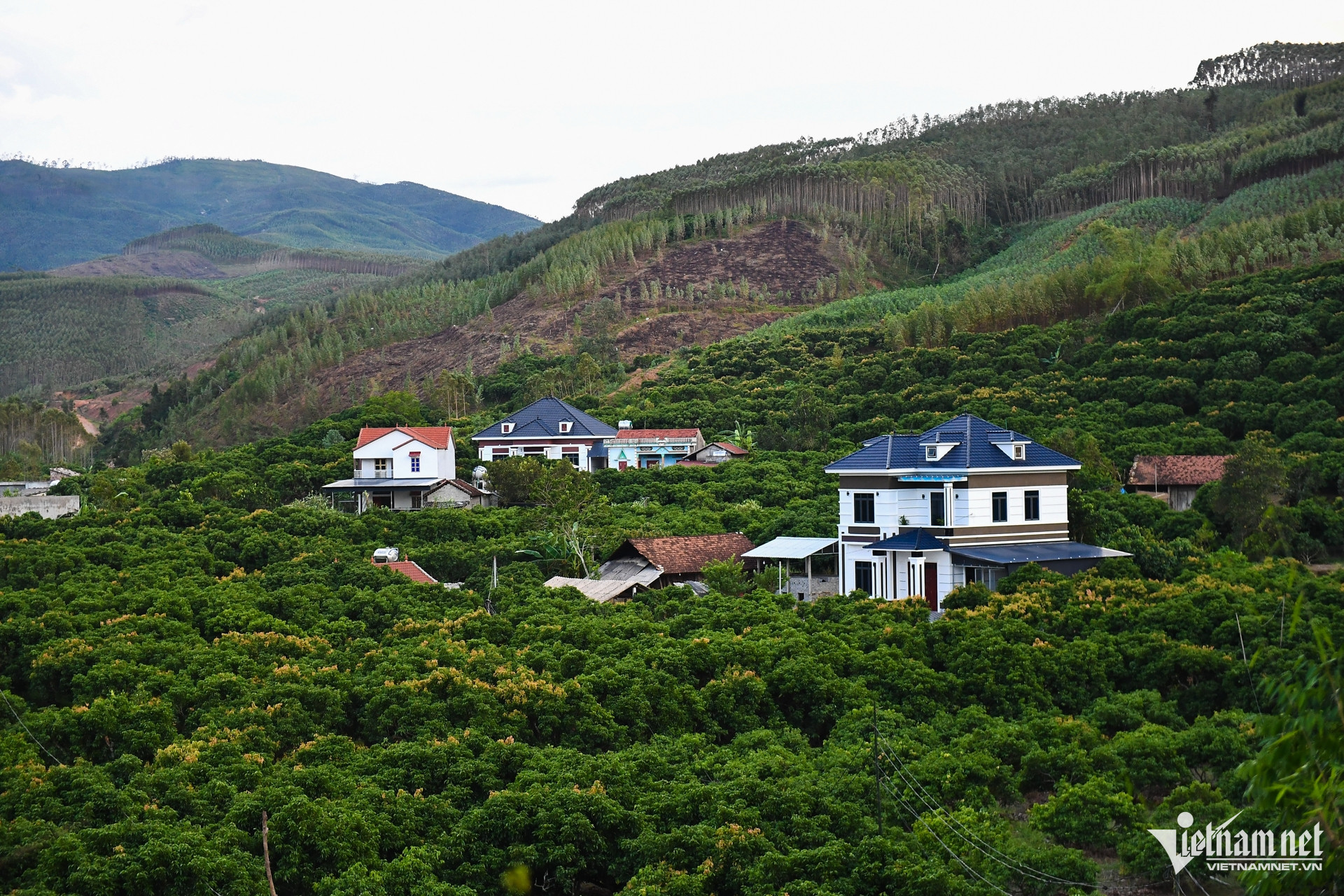 W-du an bac giang nong thon 3.jpg