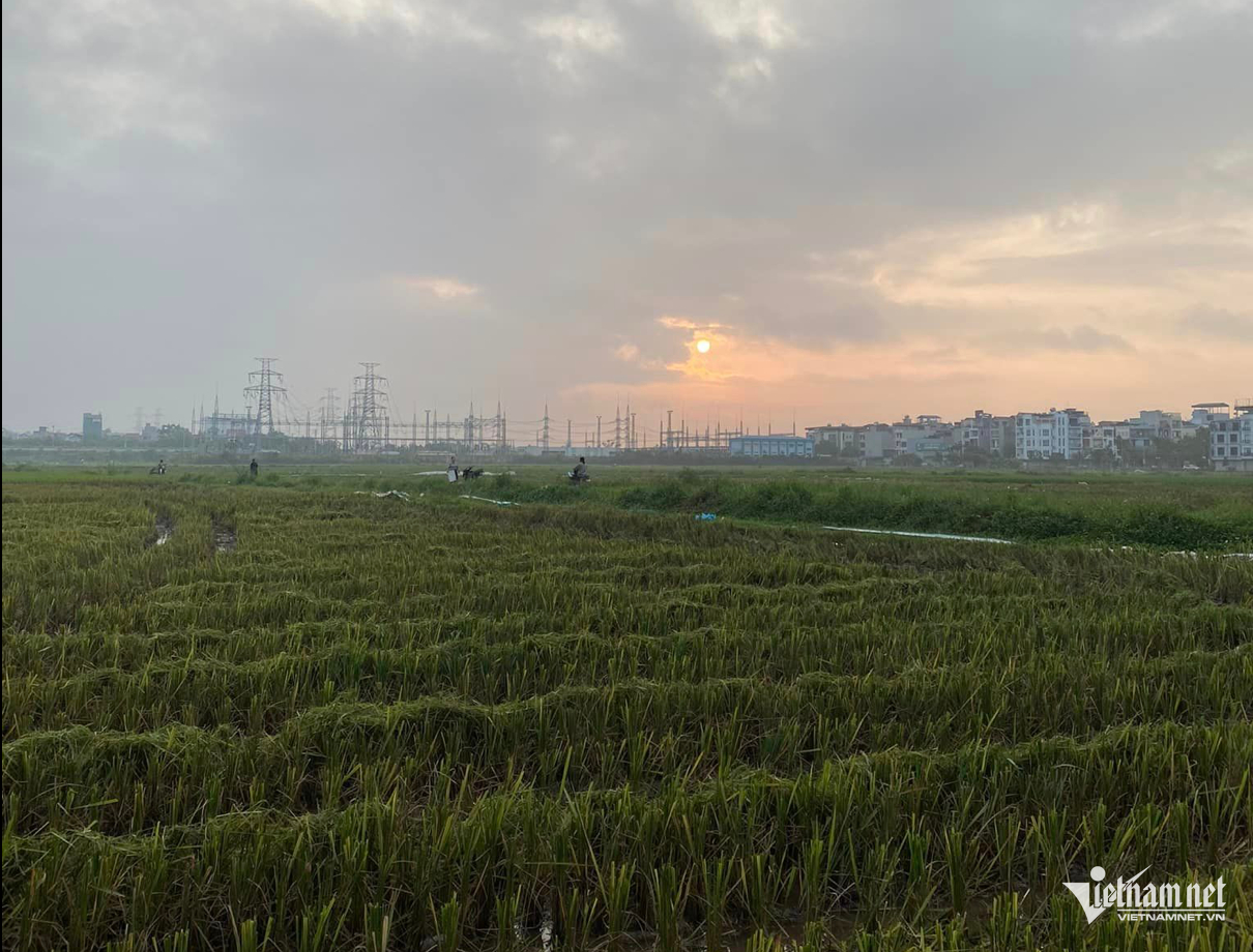 W-ninhbinh.png
