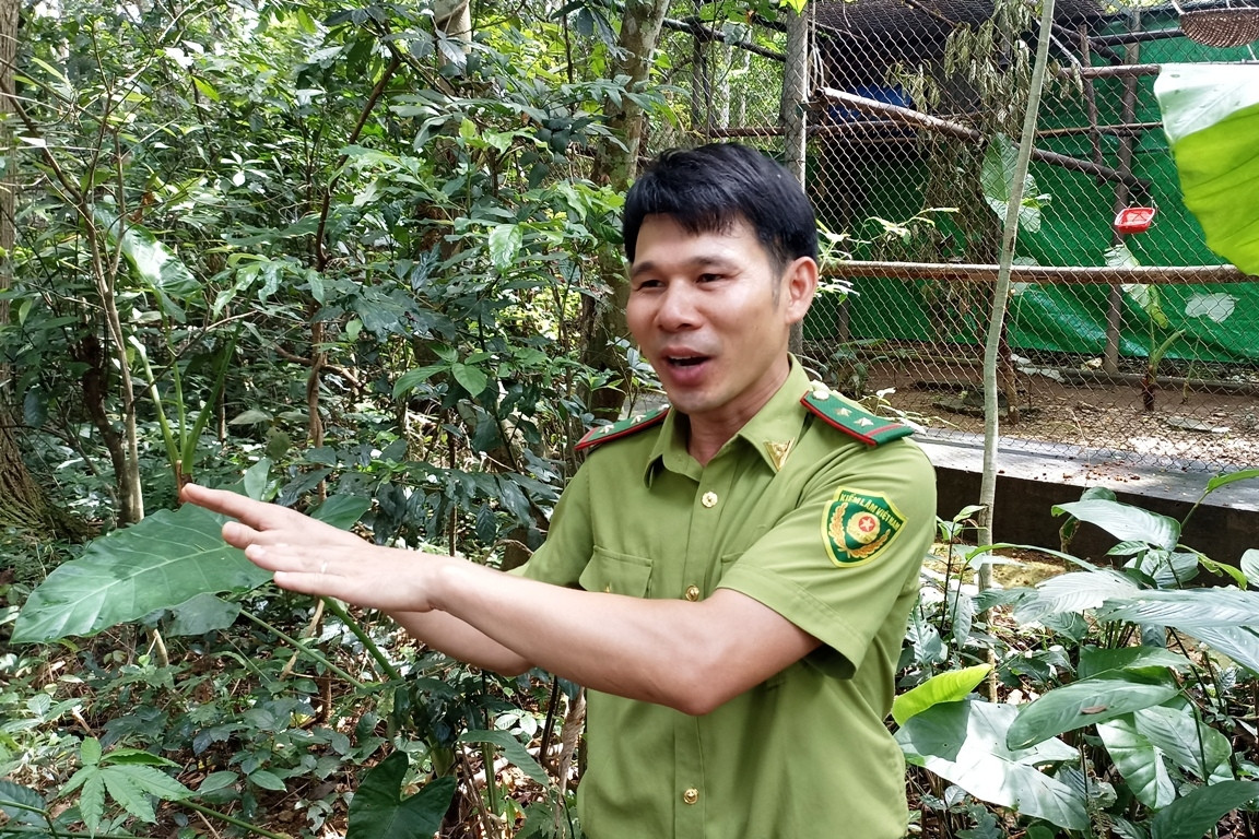 Chú vượn mang tên lạ, được giải cứu từ nhà trùm ma túy xứ Lạng