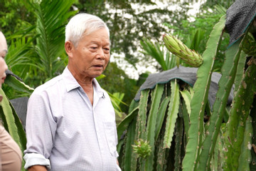 Hạt nhân nòng cốt đưa bản người Thái vươn lên phát triển kinh tế