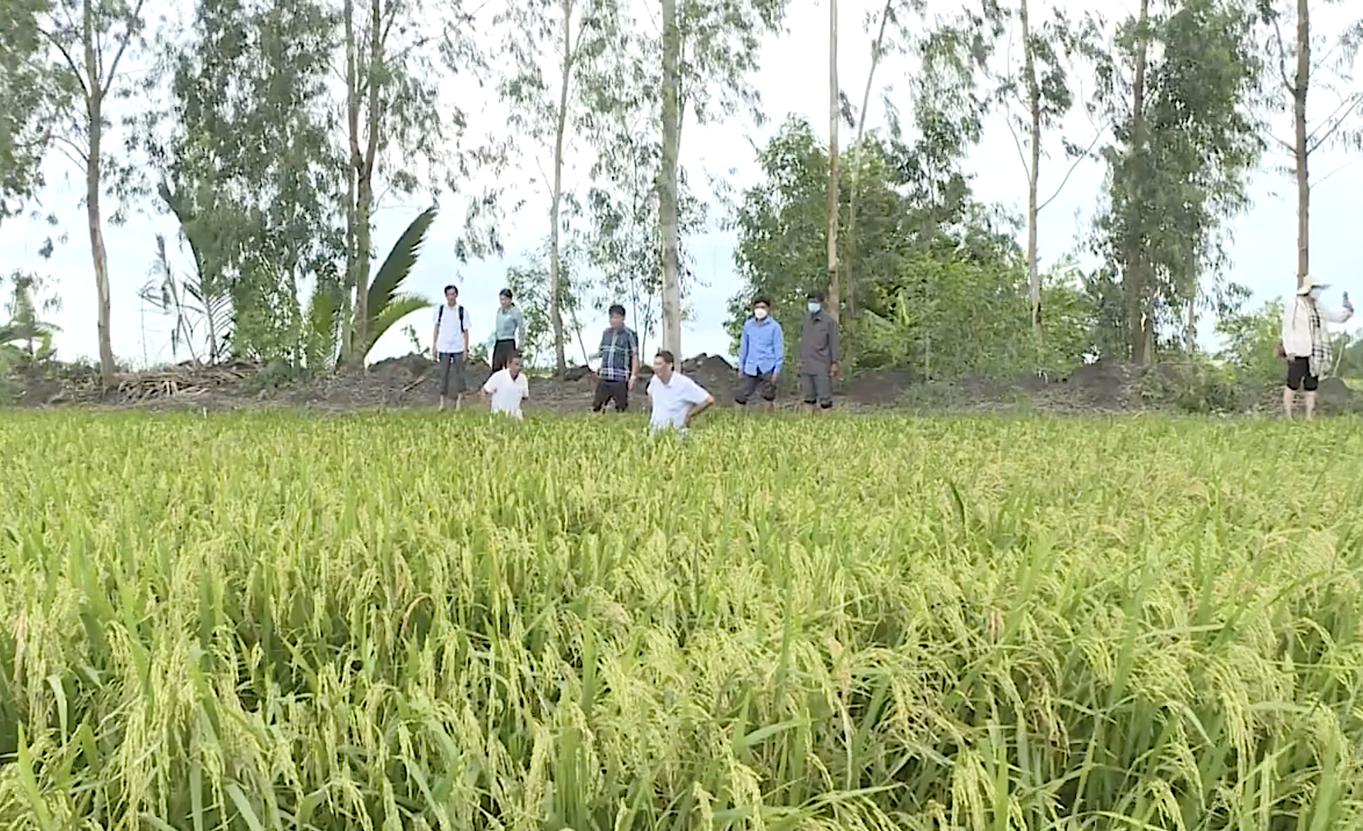 Kiên Giang: Thay đổi nhanh chóng, rõ nét ở khu vực nông thôn