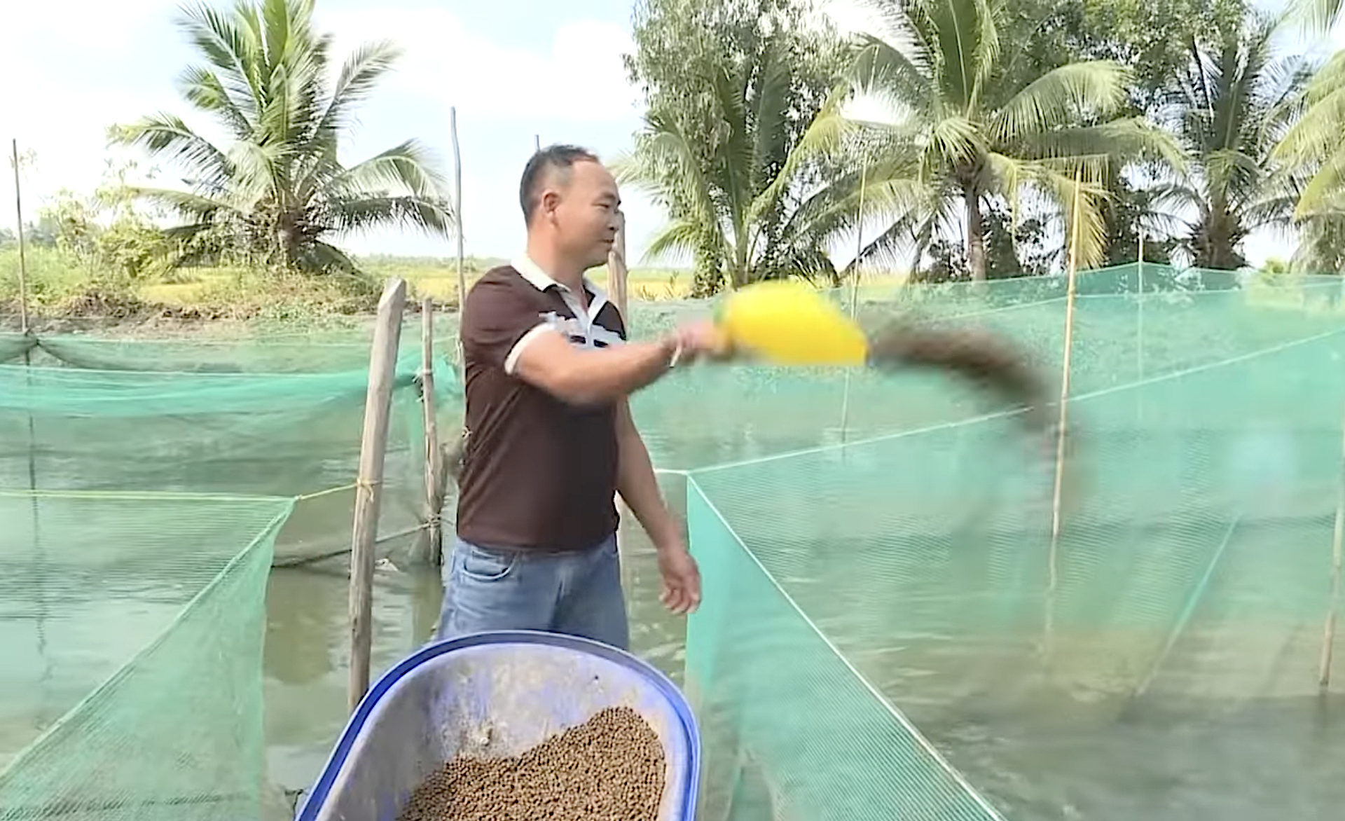 Kiên Giang thúc đẩy chuyển đổi số trong chương trình nông thôn mới