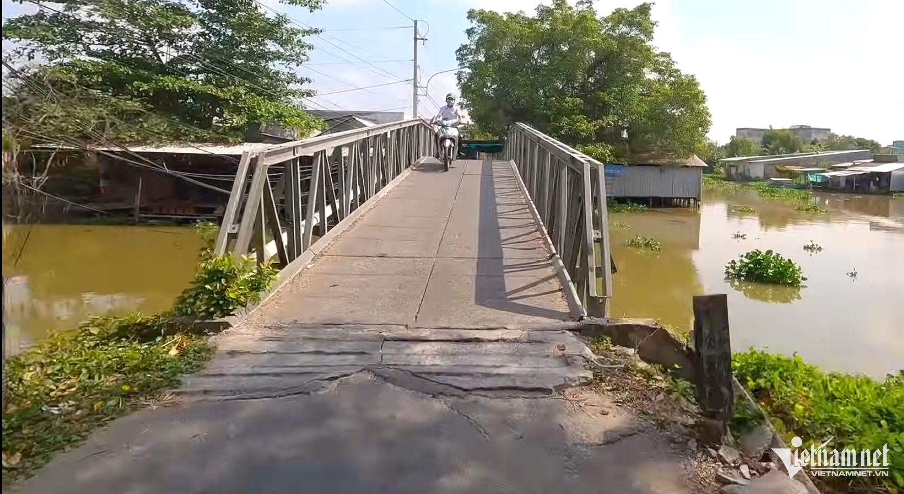 W-giỏngrieng.png