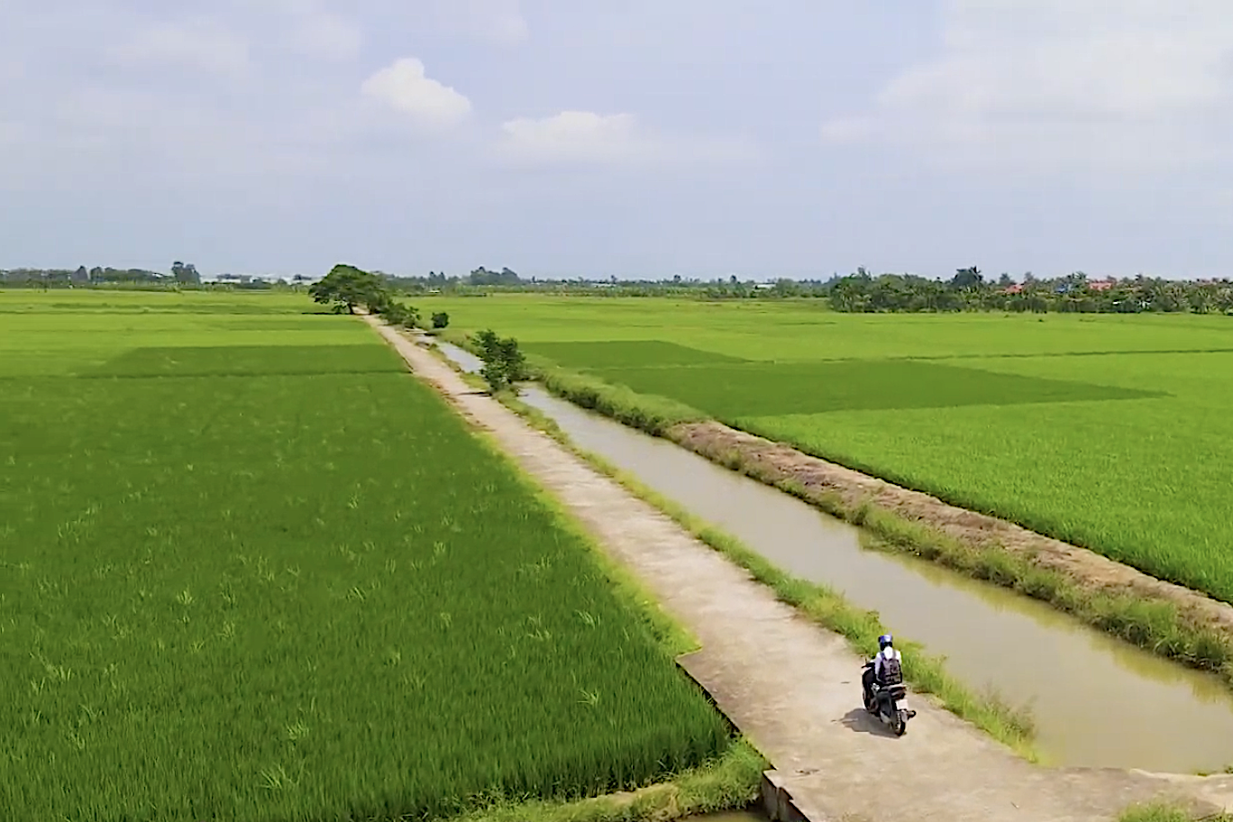 Xây dựng NTM kiểu mẫu Vĩnh Phong thực sự là “miền quê đáng sống”