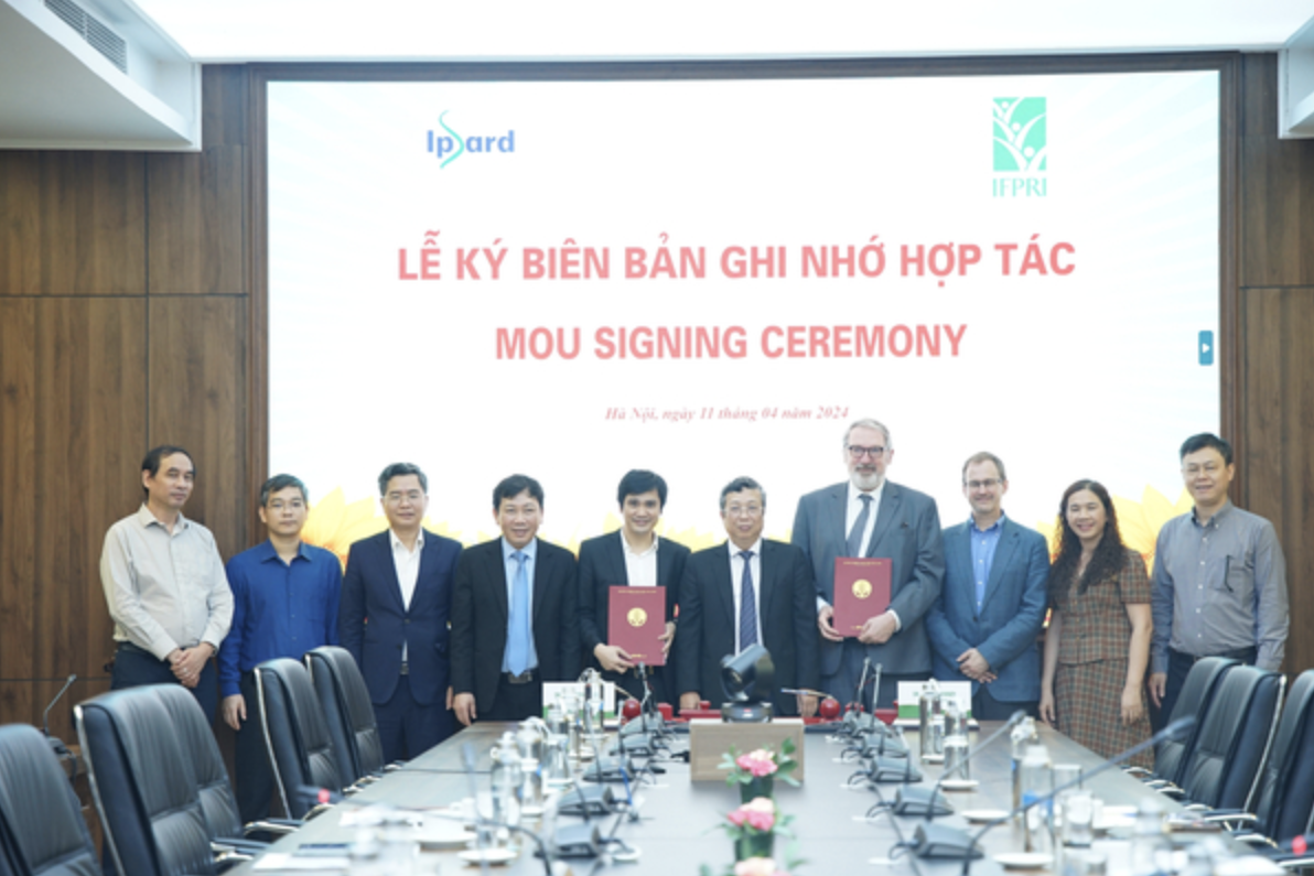 Phối hợp cùng IFPRI nghiên cứu, xây dựng các dự án hợp tác nghiên cứu, dự báo thị trường nông sản