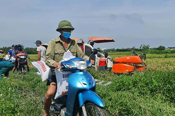 Nhớ những ngày thơ ấu, cả làng gọi nhau gặt lúa chạy lũ