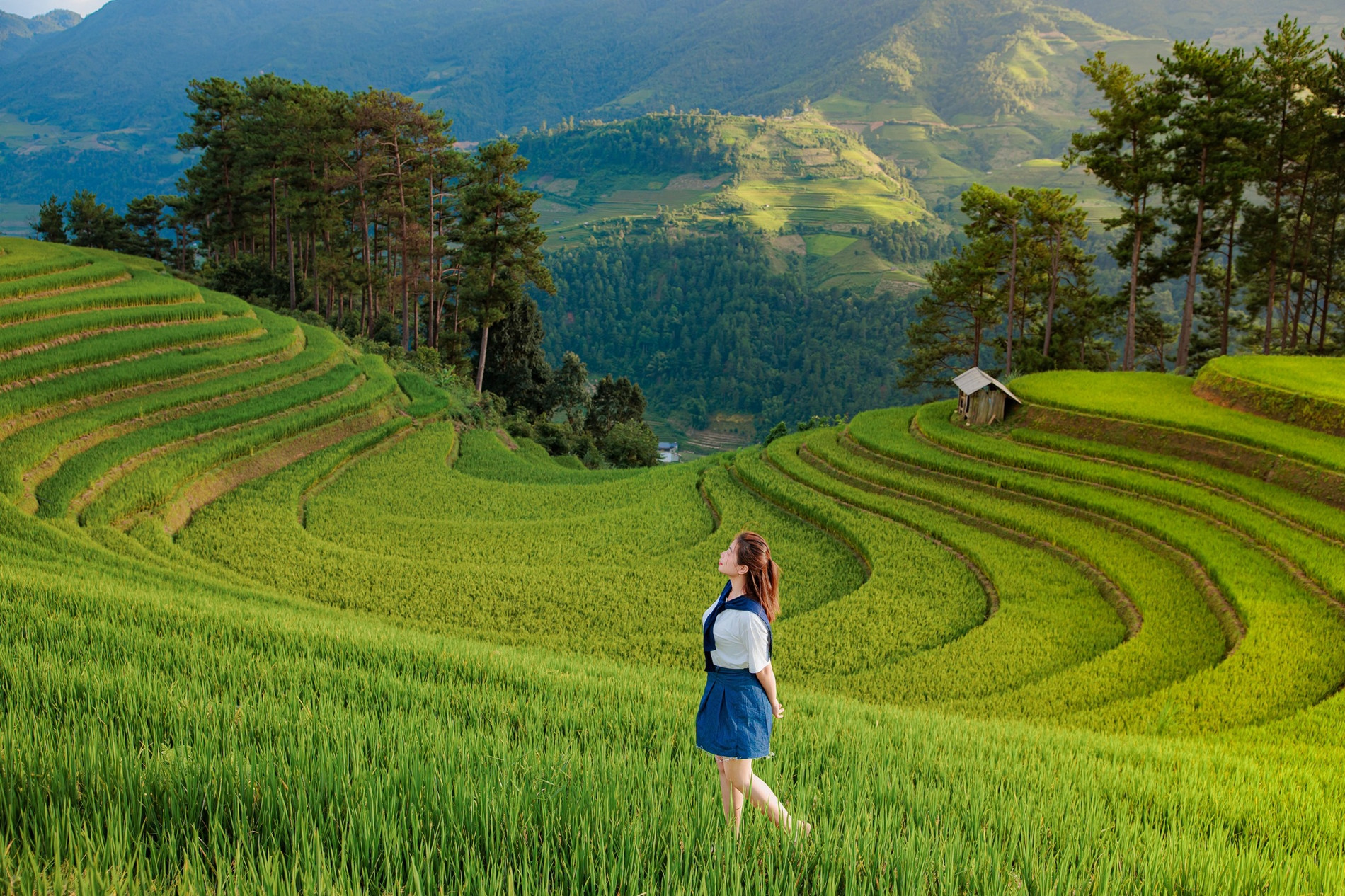 Du khách Hải Phòng tới mùa vàng Mù Cang Chải, vui chơi ‘thả ga’ chưa hết 2 triệu