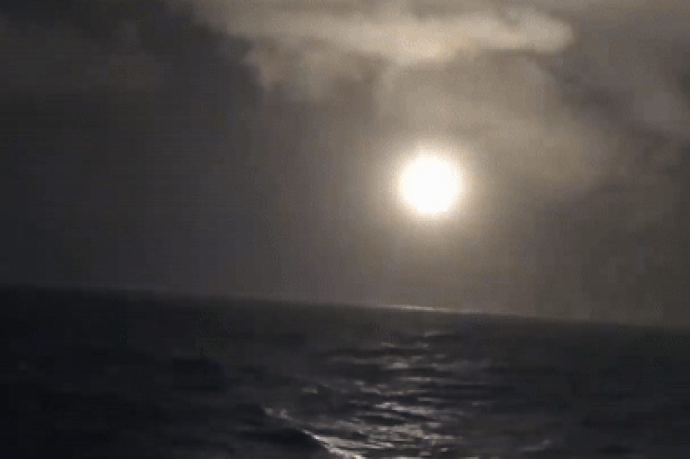 Nga1 ezgif.com resize.gif