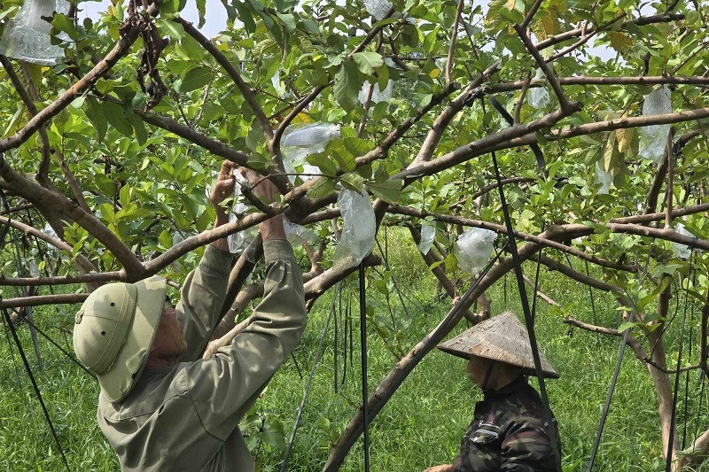 Tràng Lương chuyển đổi số gắn với xây dựng nông thôn mới kiểu mẫu