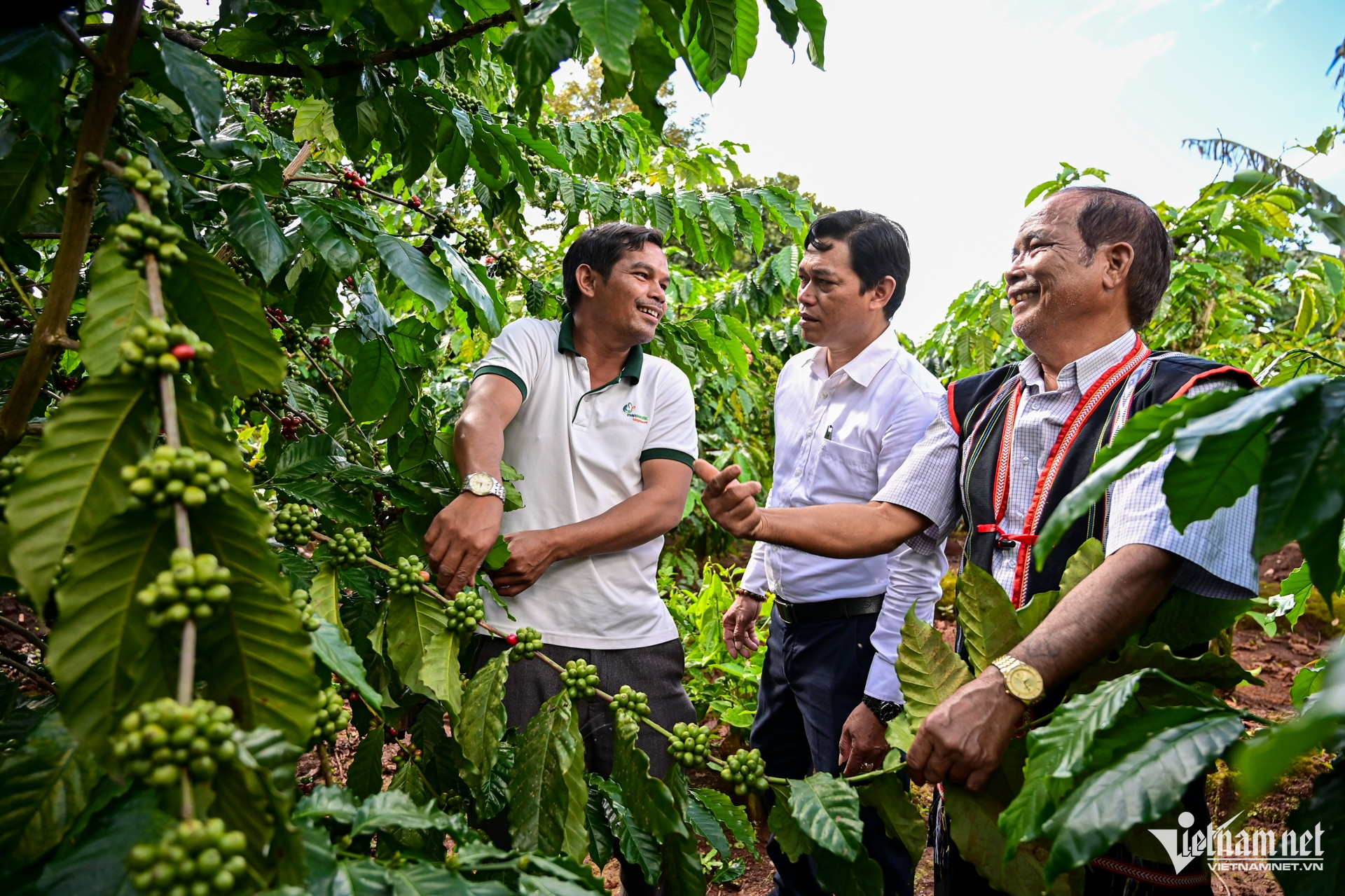 W-Tây Nguyên 81.jpg