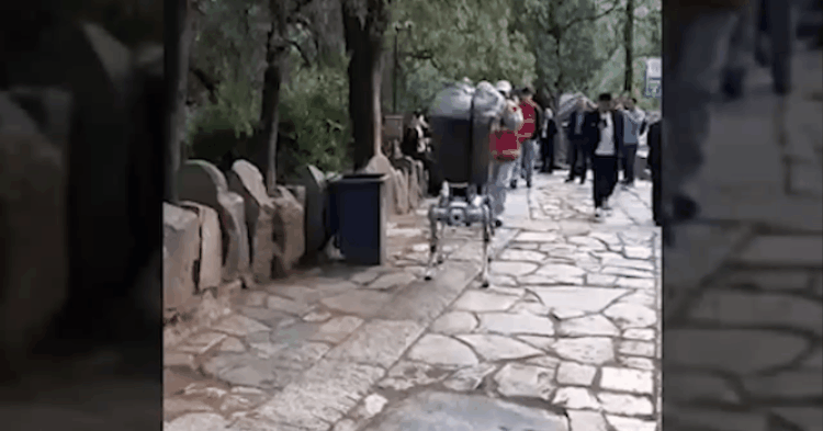 Robot phăng phăng leo núi, dọn rác khiến du khách ‘mắt tròn mắt dẹt’