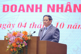 thu tuong pham minh chinh.jpg