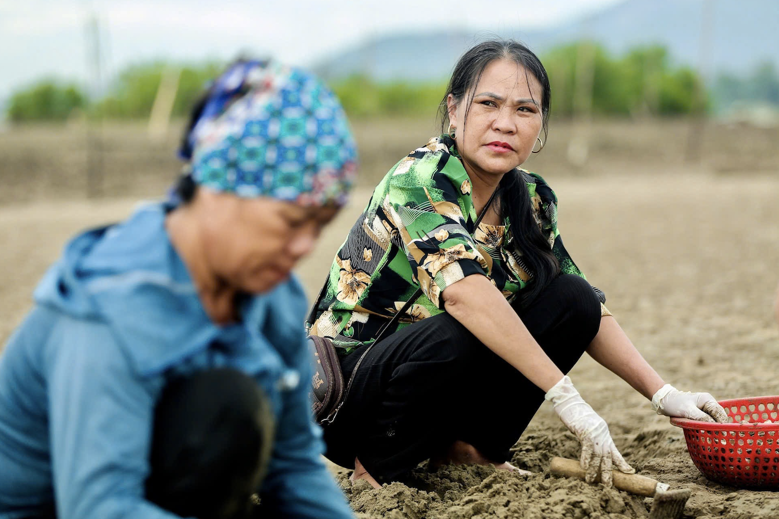 Tôn vinh 63 nông dân xuất sắc, 63 hợp tác xã tiêu biểu