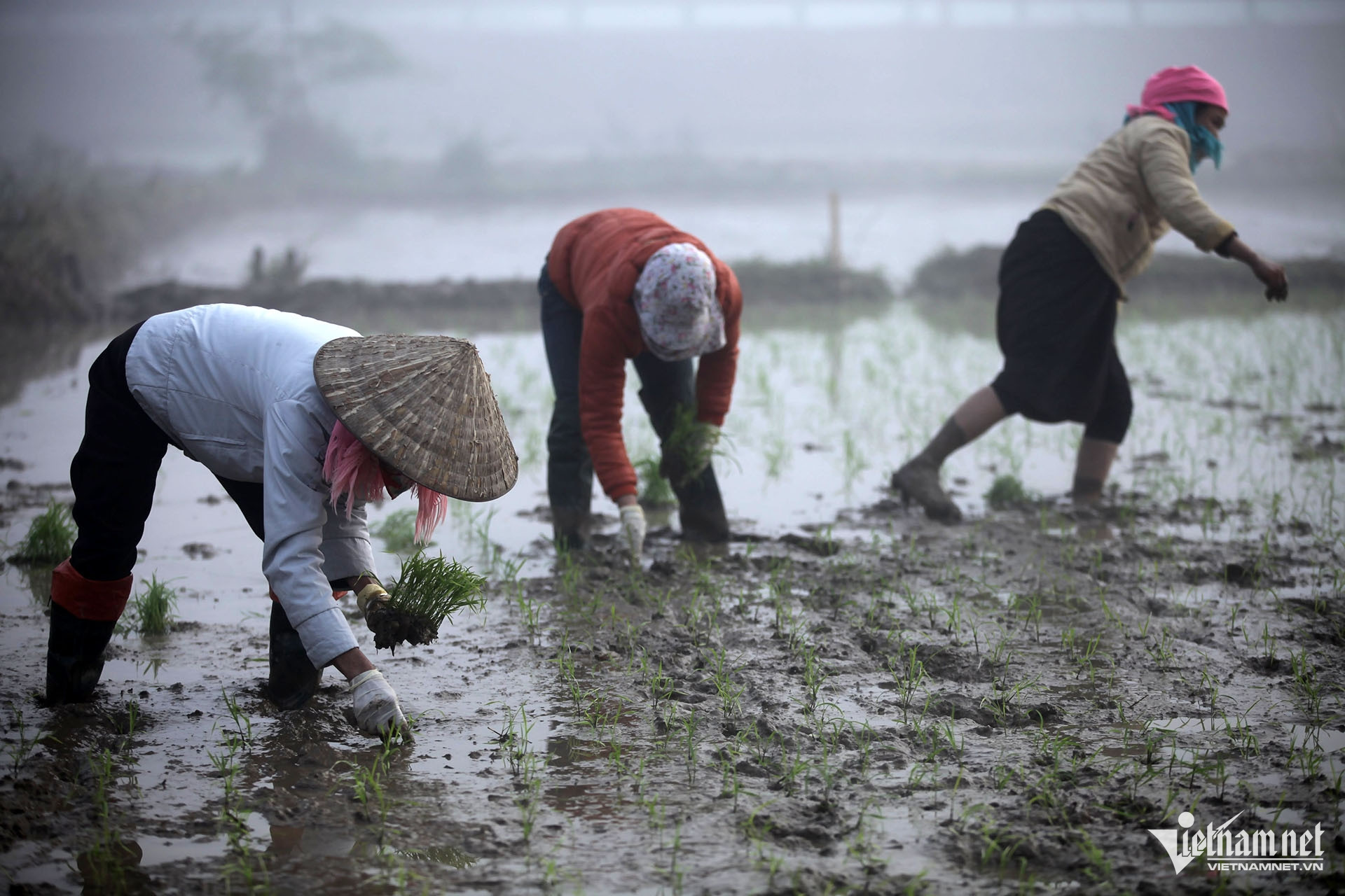 W-nong thon giam ngheo.jpg