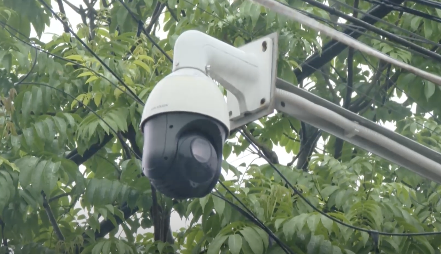 Ảnh chụp Màn hình 2024 09 24 lúc 12.27.54.png