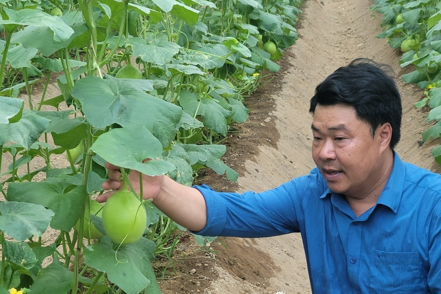 Đông Sơn: Ứng dụng công nghệ vào sản xuất, góp phần xây dựng nông thôn mới