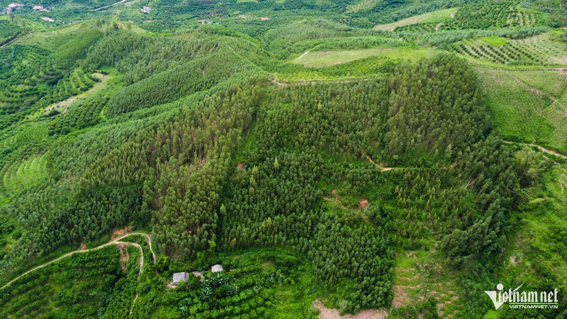 W-Bac Giang _ chuong trinh muc tieu quoc gia 11.jpg