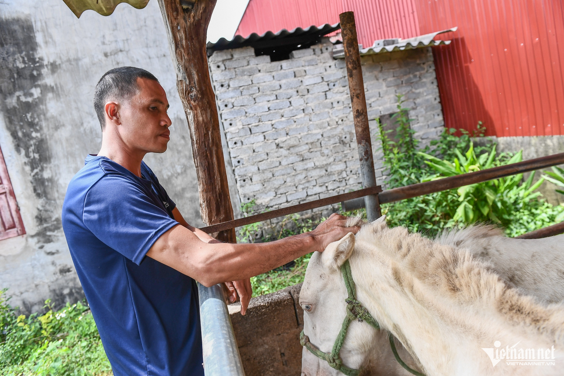 W-Bac Giang _ chuong trinh muc tieu quoc gia 12.jpg