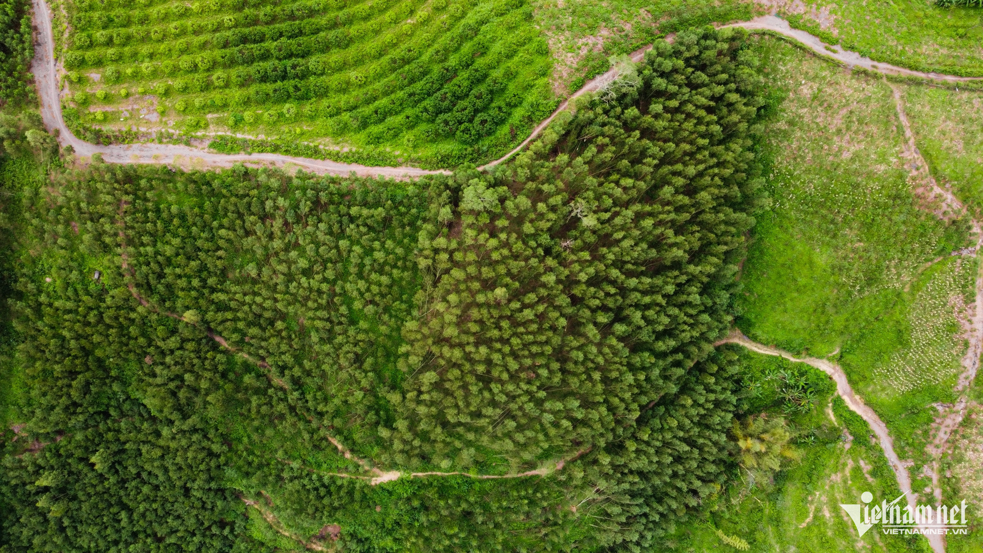 W-Bac Giang _ chuong trinh muc tieu quoc gia 12.jpg