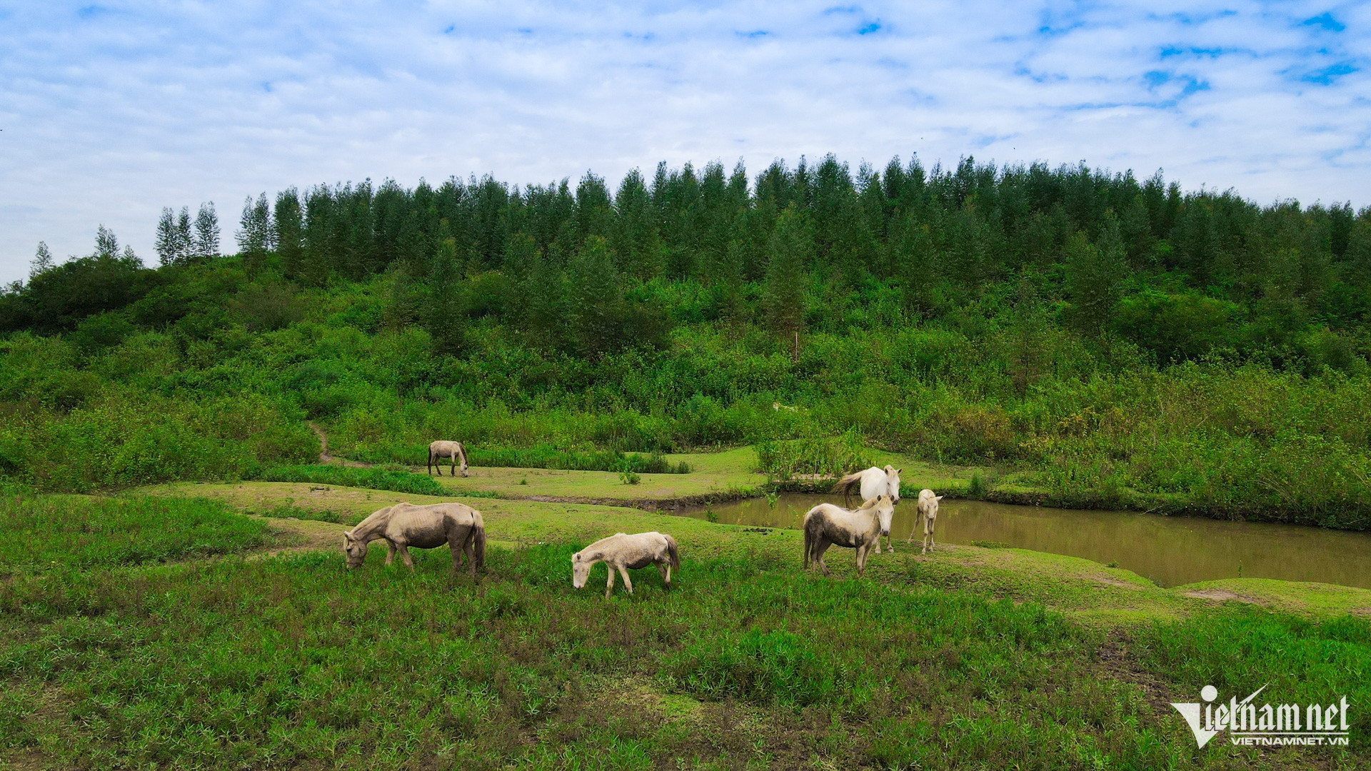 W-Bac Giang _ chuong trinh muc tieu quoc gia 15.jpg