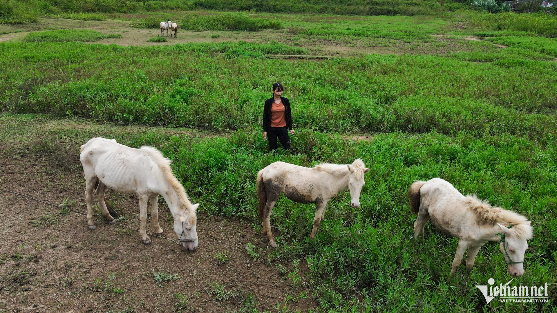 W-Bac Giang _ chuong trinh muc tieu quoc gia 2.jpg