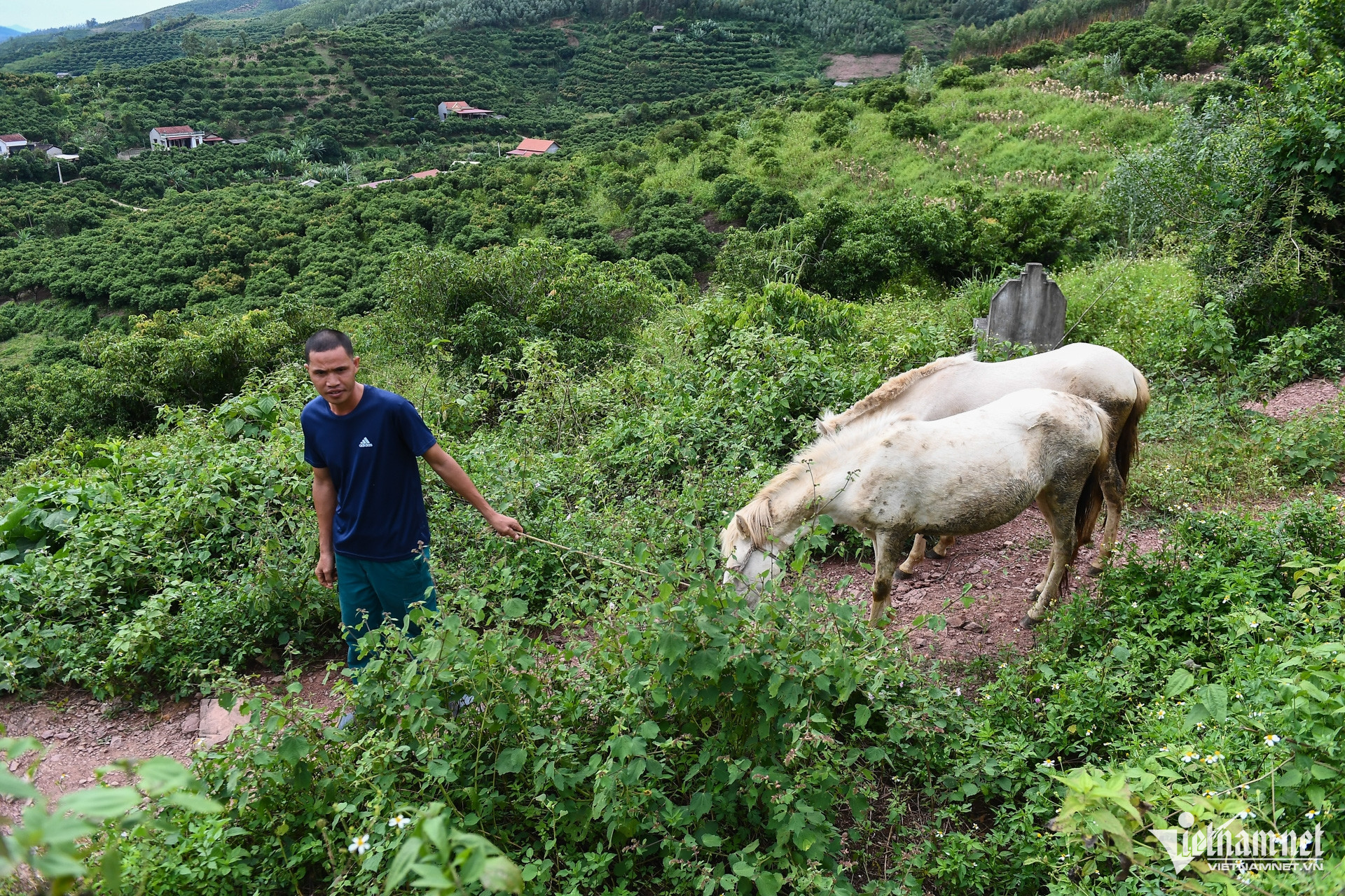 W-Bac Giang _ chuong trinh muc tieu quoc gia 3.jpg