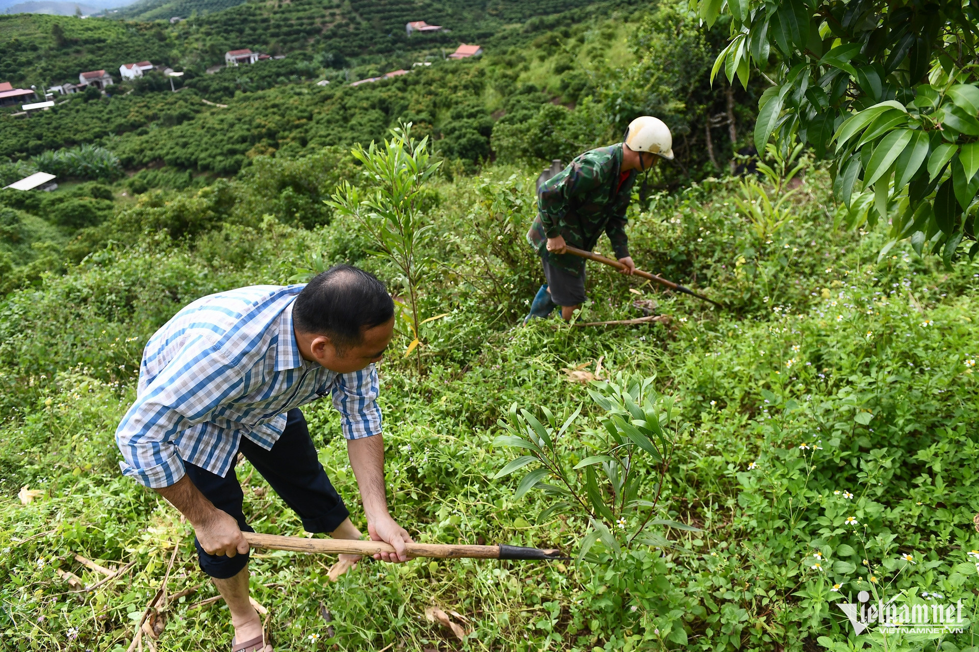 W-Bac Giang _ chuong trinh muc tieu quoc gia 3.jpg