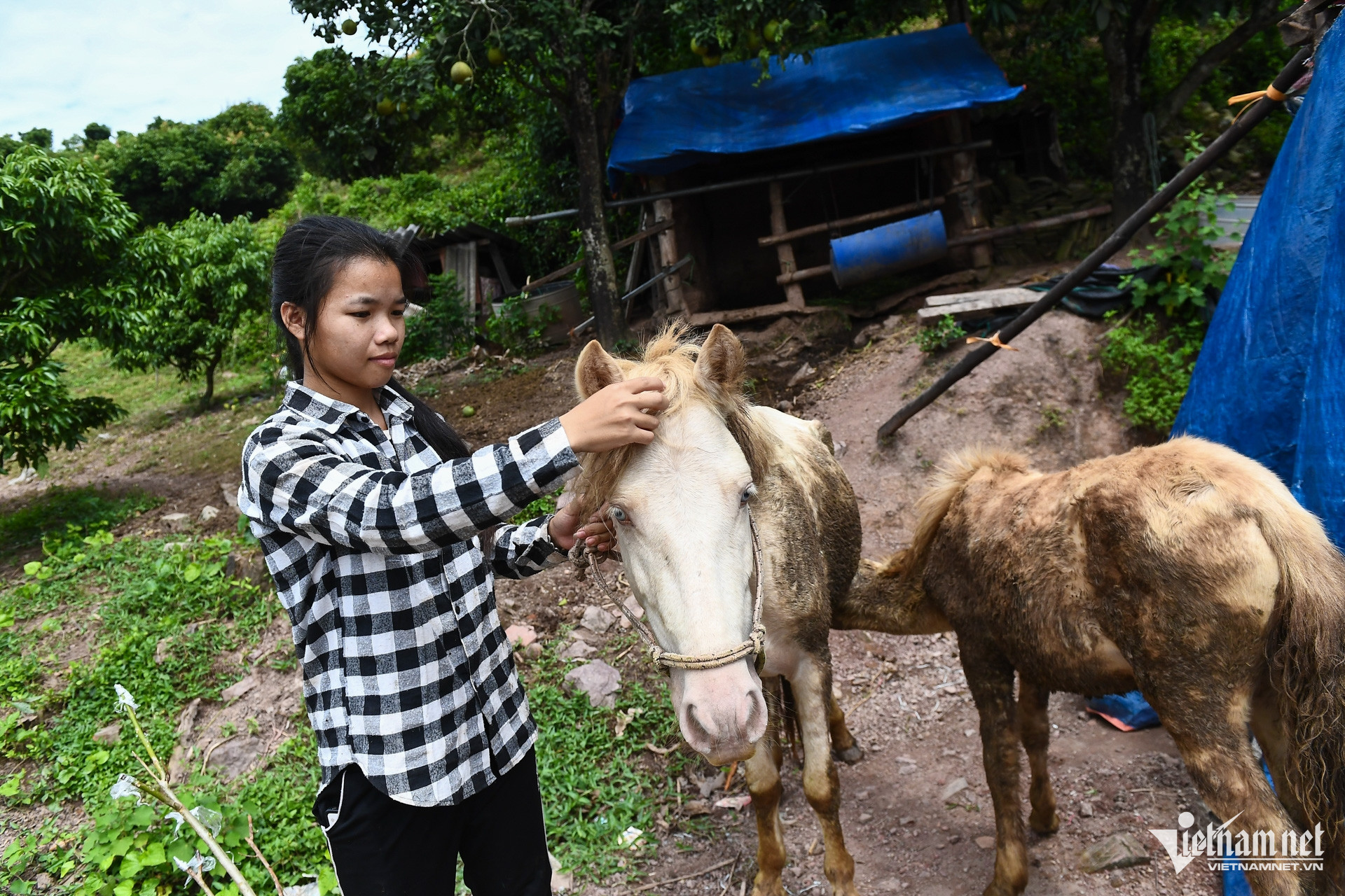 W-Bac Giang _ chuong trinh muc tieu quoc gia 4.jpg