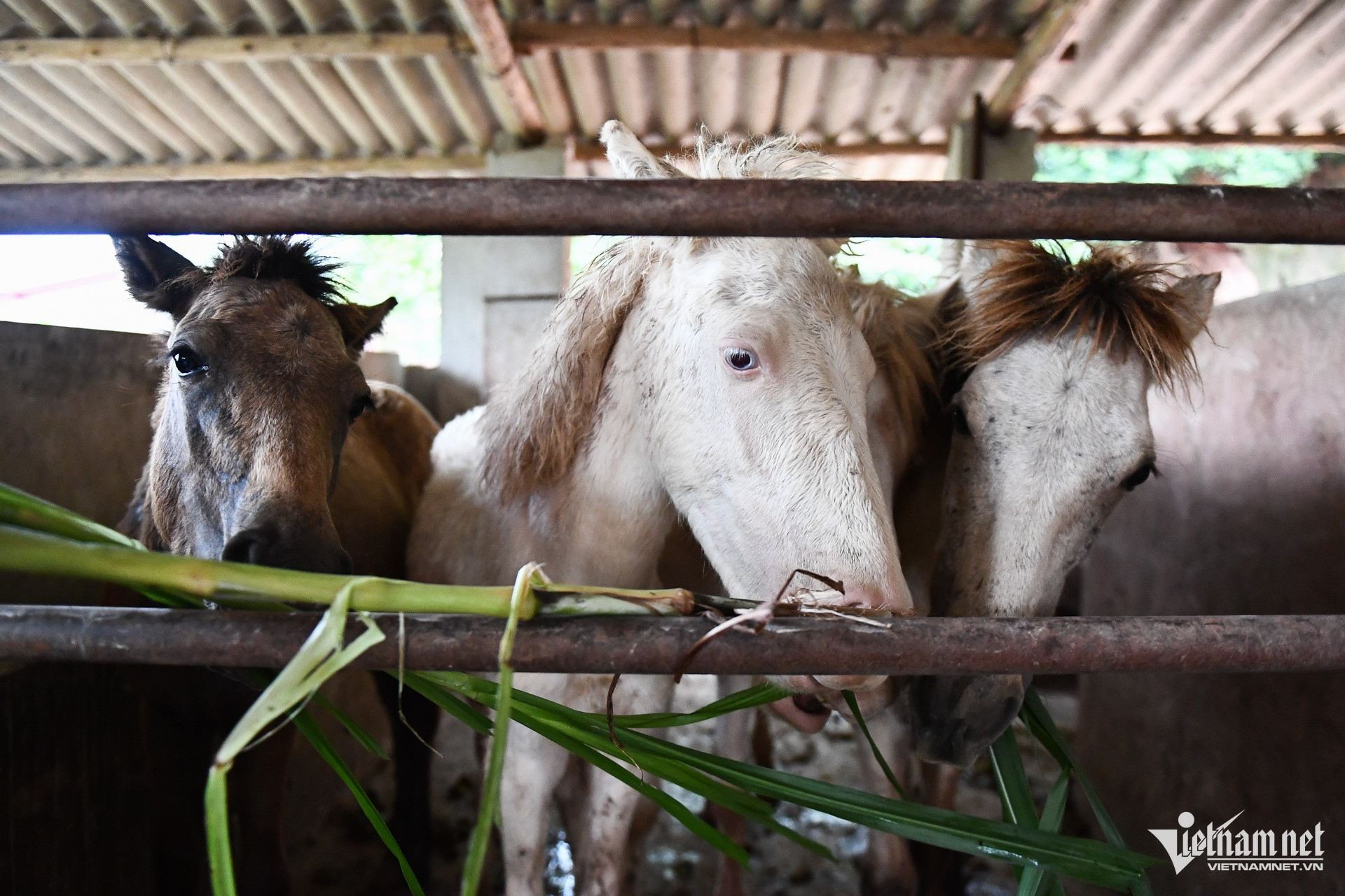 W-Bac Giang _ chuong trinh muc tieu quoc gia 5.jpg