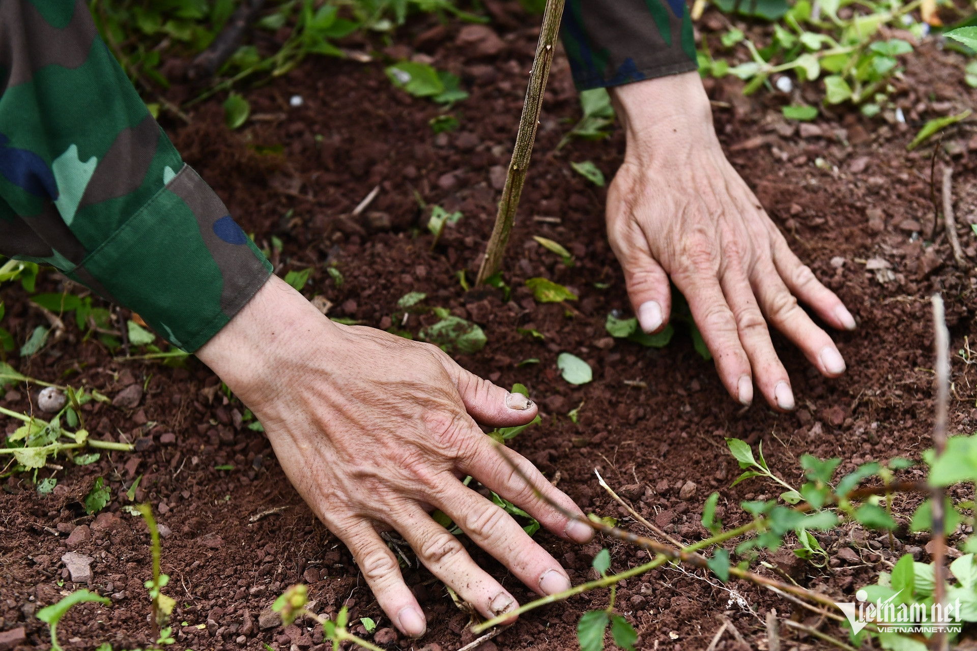 W-Bac Giang _ chuong trinh muc tieu quoc gia 5.jpg