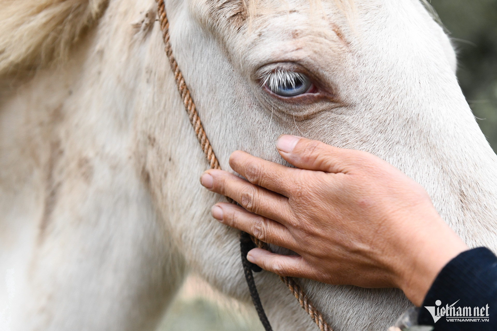 W-Bac Giang _ chuong trinh muc tieu quoc gia 8.jpg