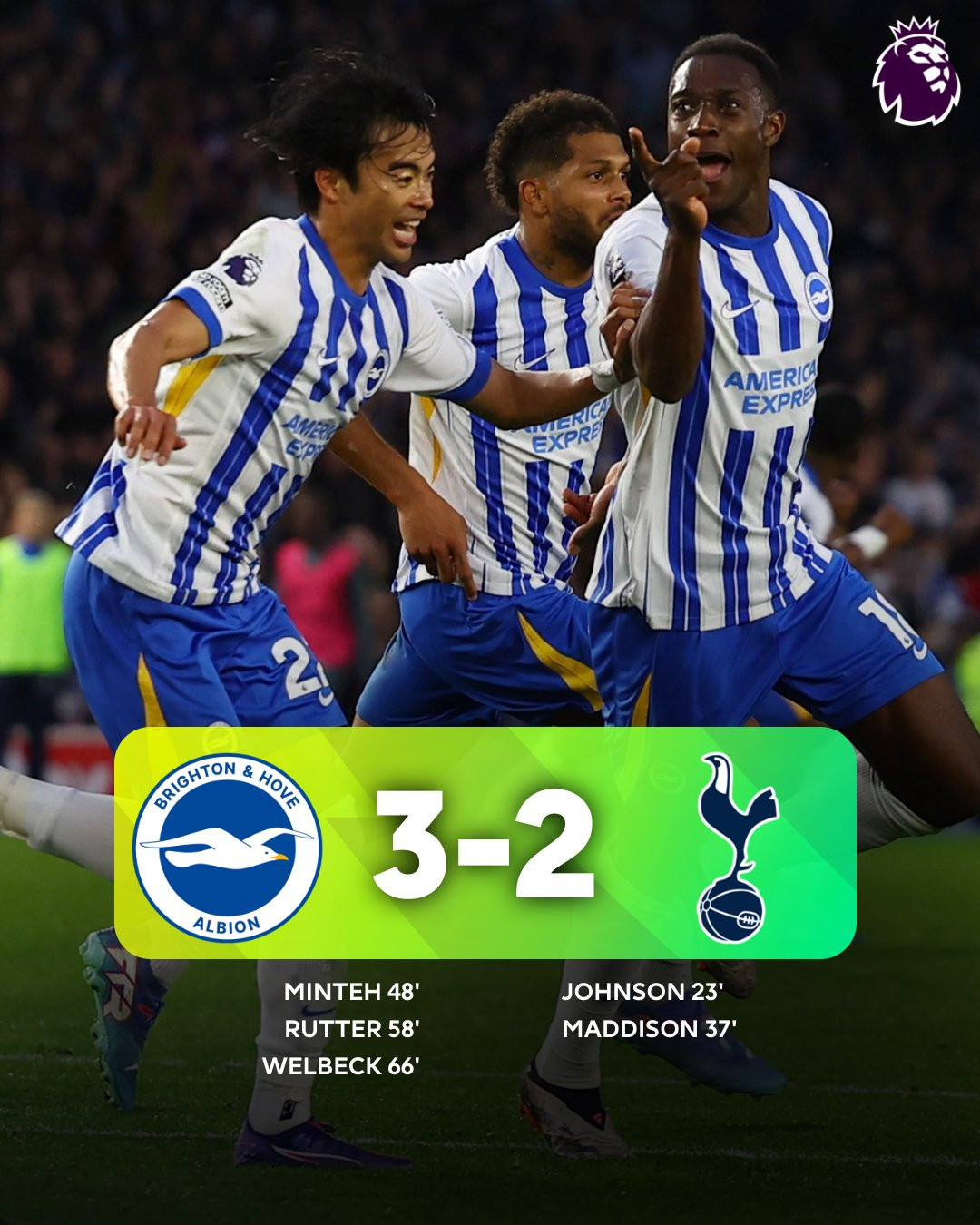 Brighton Tottenham