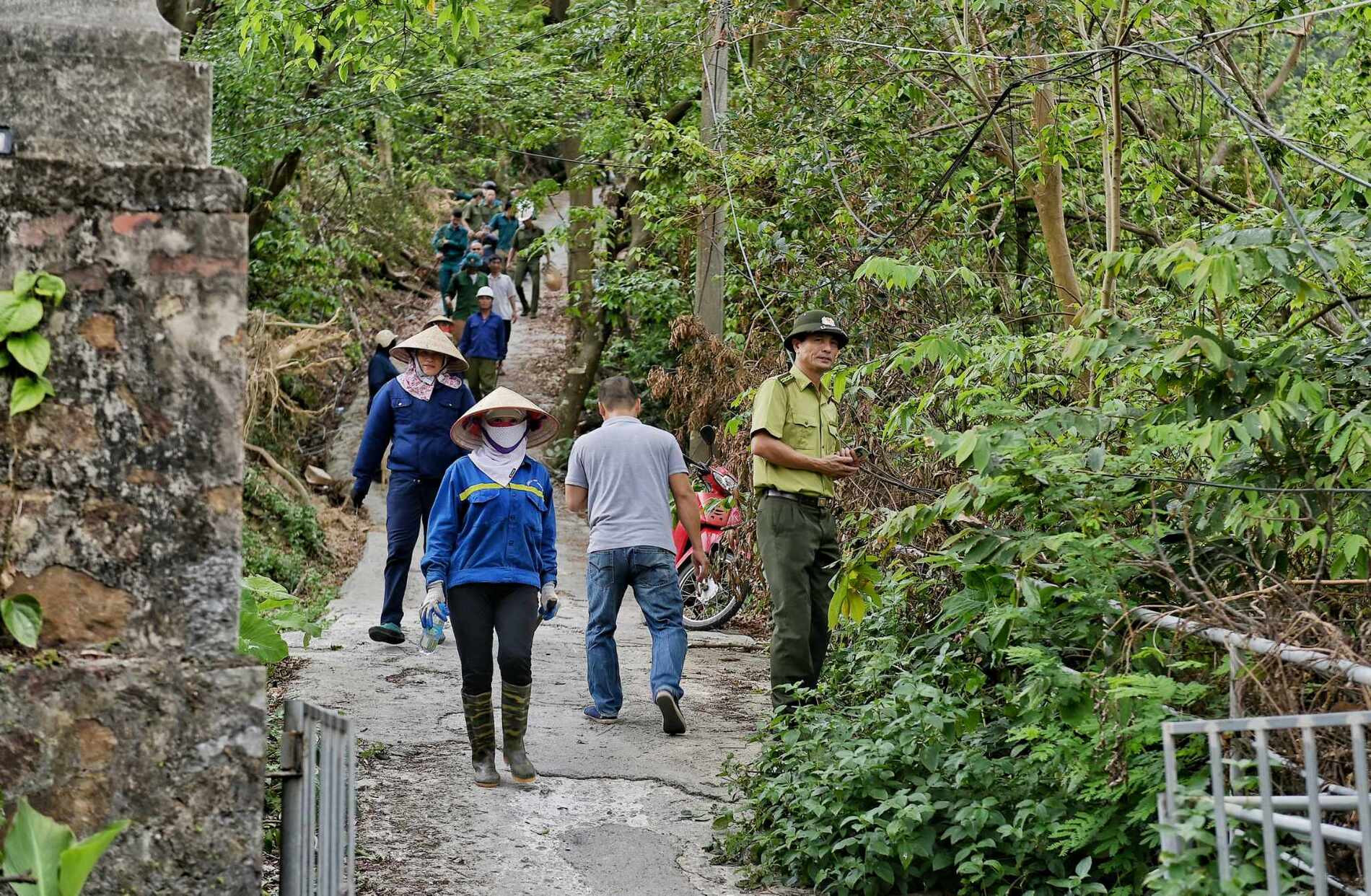 Cháy rừng Km  (1).jpeg