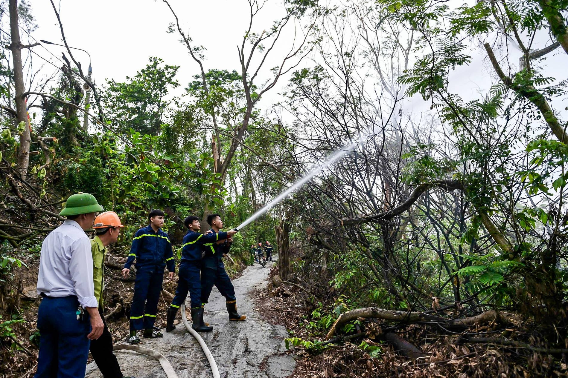 Cháy rừng sát di tích quốc gia đặc biệt, 300 người nỗ lực dập lửa thành công