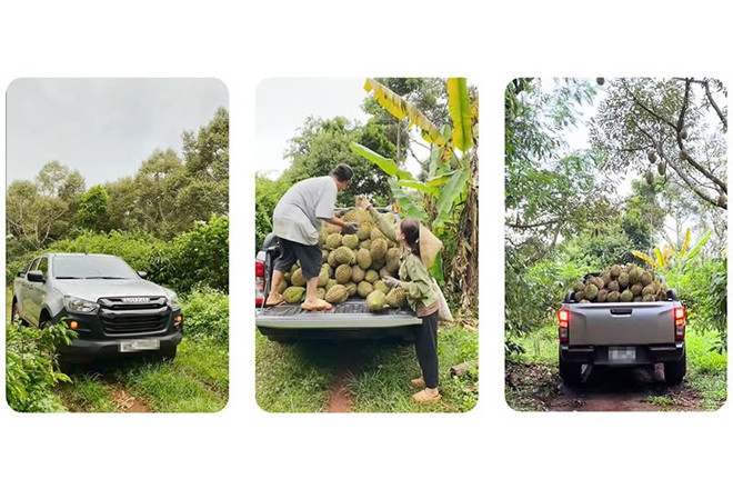 Isuzu D-MAX - xe bán tải cho ‘dân chuyên’