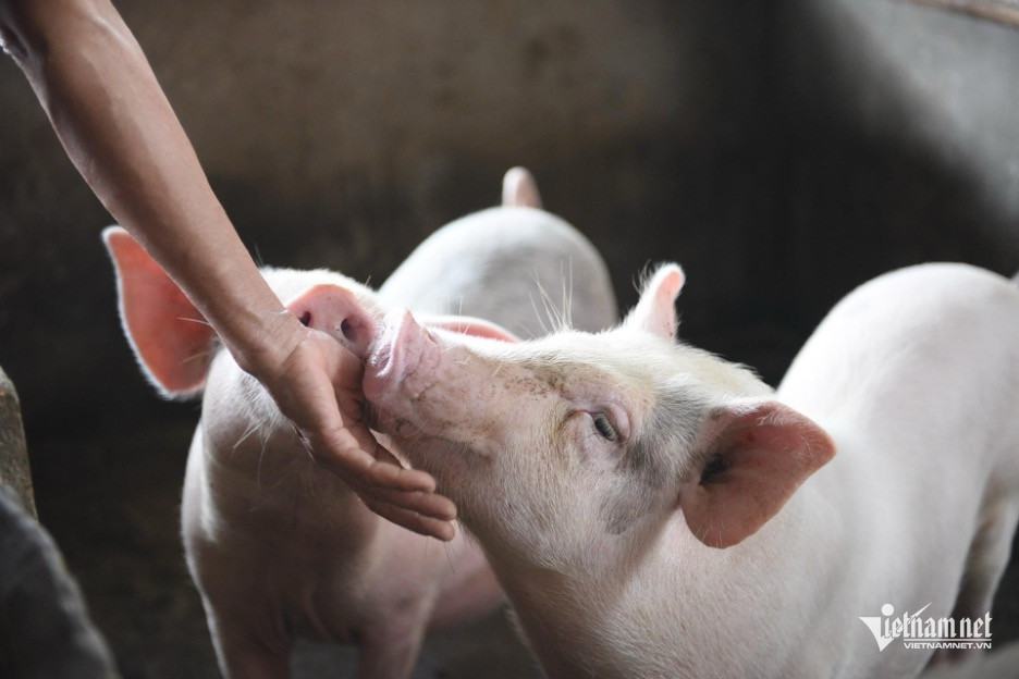 W-tin giam ngheo.jpg