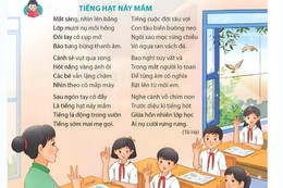 Tranh luận về bài thơ có 'đủ tầm' được đưa vào sách giáo khoa