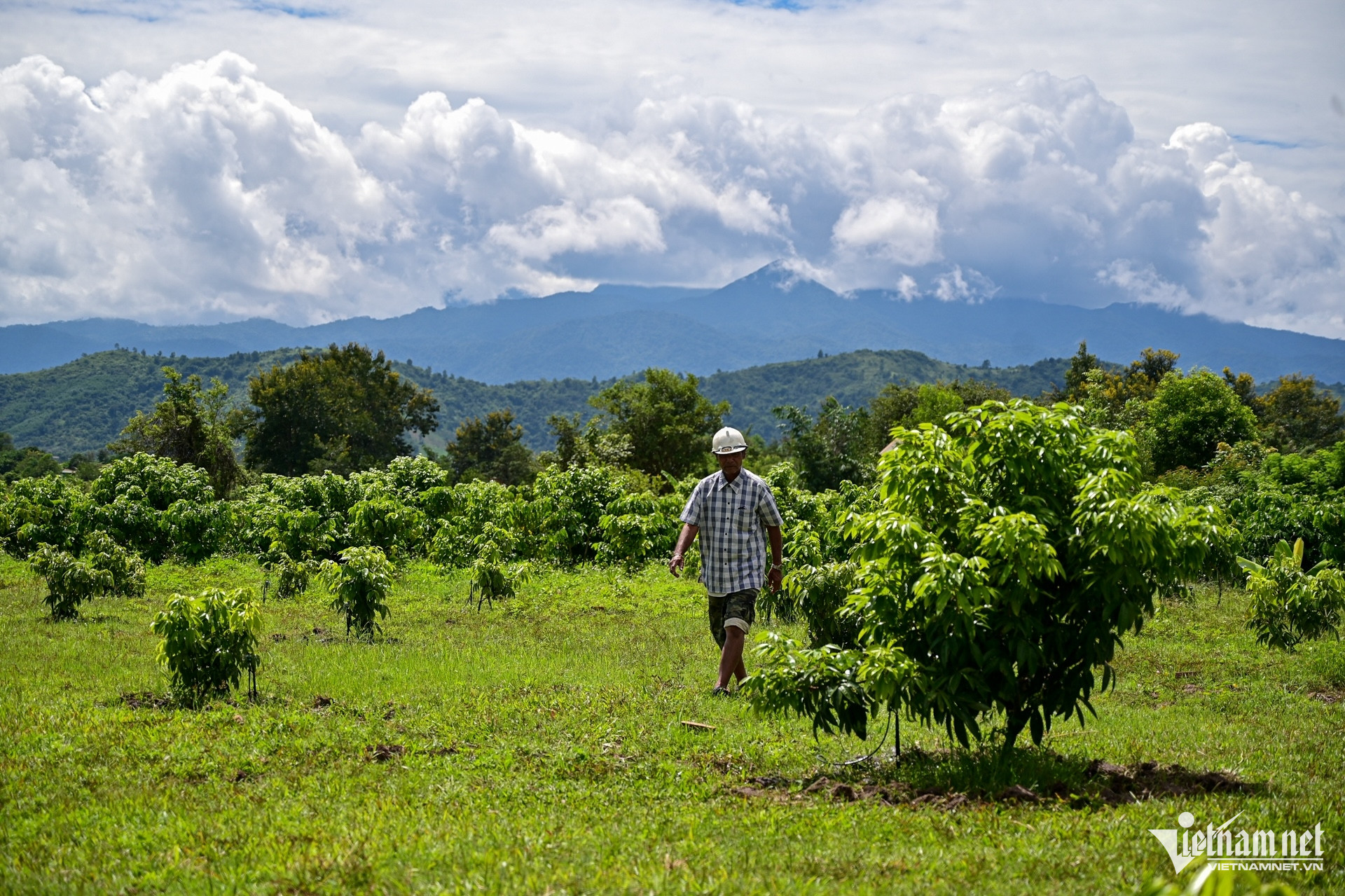 W-giam ngheo nong thon.jpg